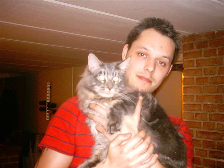 Maine Coon DK Camicoon's Felix - Far og mig billede 19