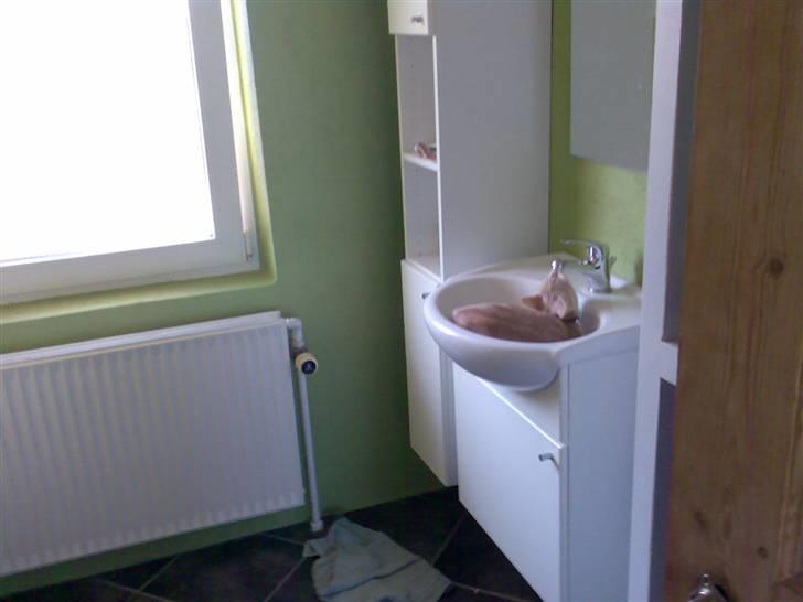 Huskat Minnie R.I.P  : ( - Her ligger hun ofte når vi kommer hjem billede 6