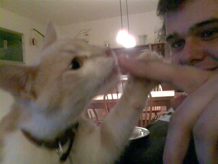 Huskat Minnie R.I.P  : ( - Mums hva har du på den finger far? billede 11