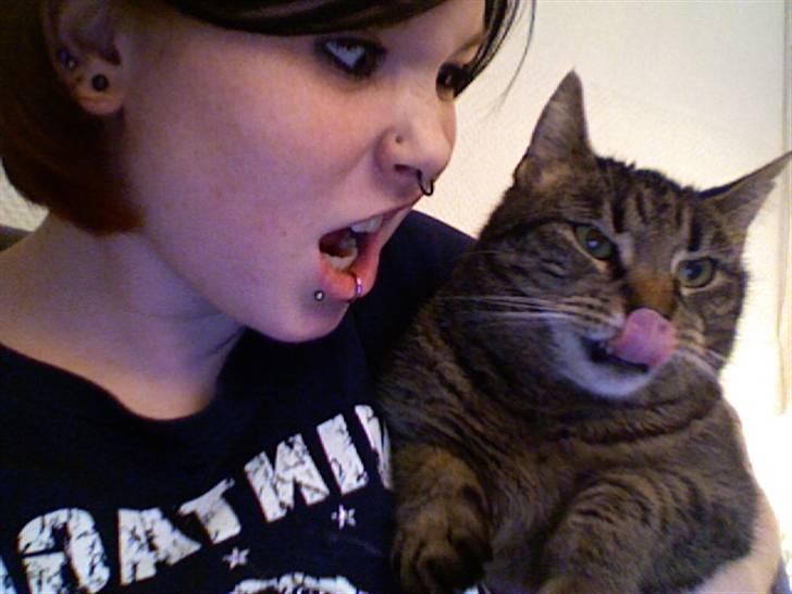 Huskat Kitty *R.I.P* billede 1