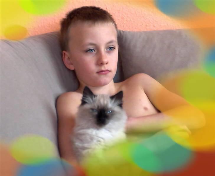 Blanding af racer Bastian billede 3