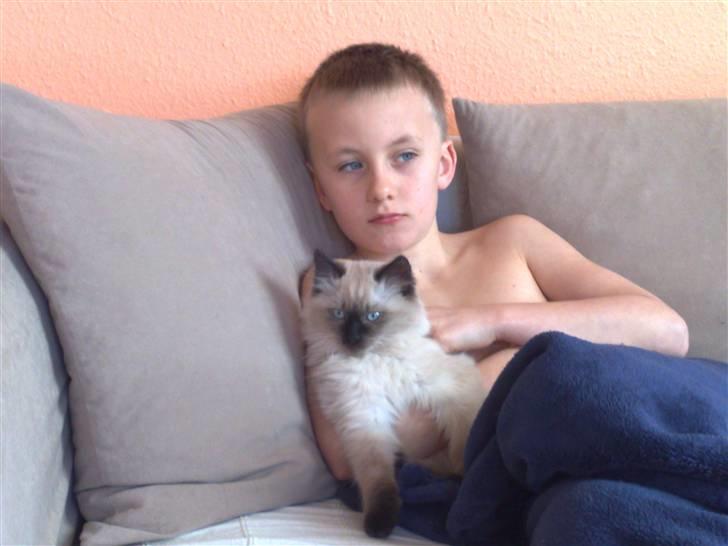 Blanding af racer Bastian billede 4