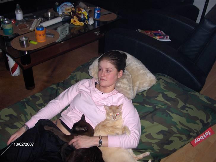 Burmeser Amadæus billede 7