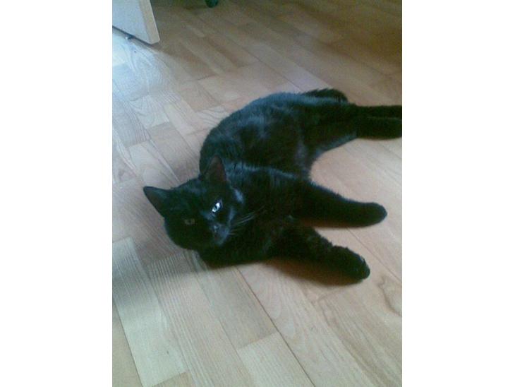 {{currentPhoto.altText}} billede {{currentPhoto.number}}