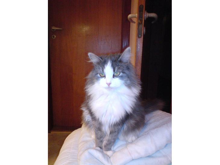 {{currentPhoto.altText}} billede {{currentPhoto.number}}