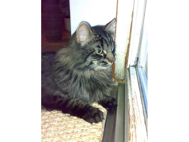 {{currentPhoto.altText}} billede {{currentPhoto.number}}