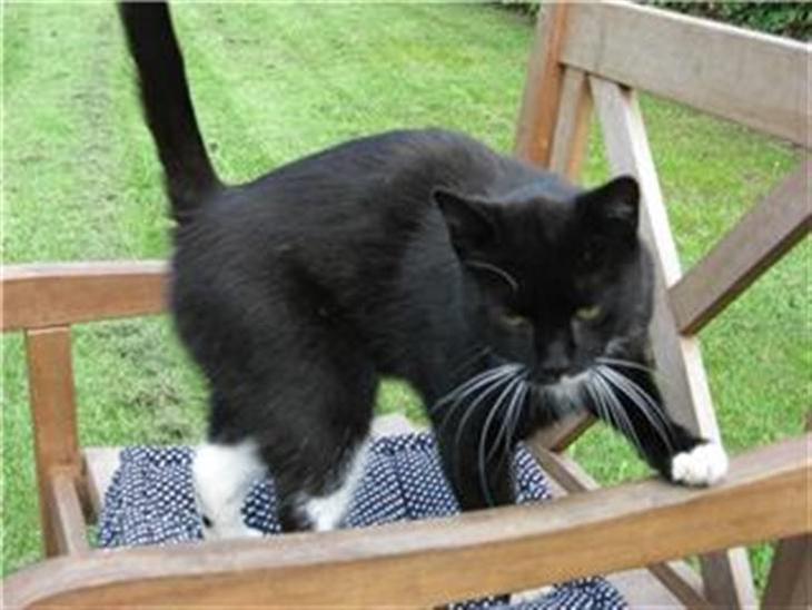 {{currentPhoto.altText}} billede {{currentPhoto.number}}