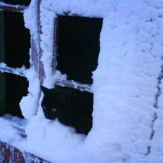 Blanding af racer Mickey 