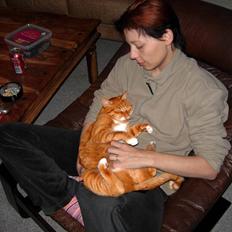 Huskat Sofus † 12/6-08 †