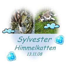 Huskat Sylvester R.I.P 13.11.08
