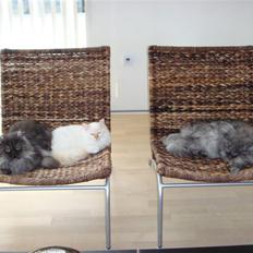 Perser Mulde 2002-2010