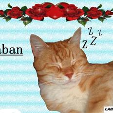 Blanding af racer Laban