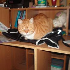 Blanding af racer Laban