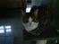 Huskat Tomtom R.I.P