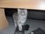 Maine Coon DK Amazing Paw´s Joey - Elsker fars sko :)