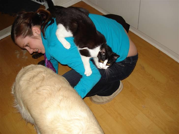 Blanding af racer Lille Missen  - Ja her bruger jeg lige min mor som klatre træ :) billede 6