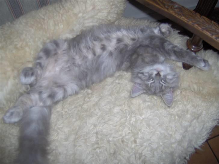 Blanding af racer Fiona Fuckhead billede 6