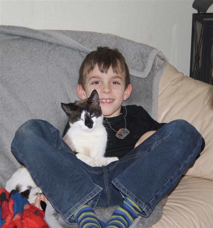 Blanding af racer Diva billede 8