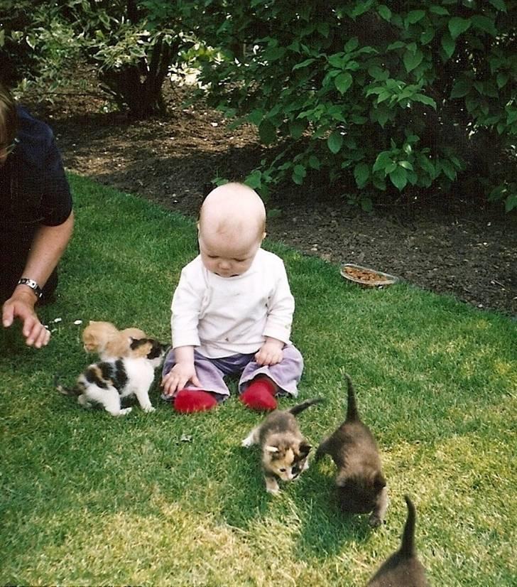 Huskat Mimmer - Min lille kusine leger med Mimmers kattekillinger billede 13