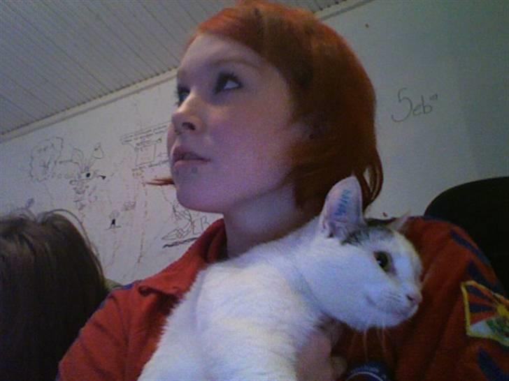 Huskat Chili - "let me gooooo.. jeg vil ind i min kurv igen.. please?"  billede 4