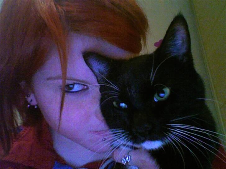 Huskat Bambi - Uuuuh.. Don´t diss us!! Vi angriber dig!!  billede 3