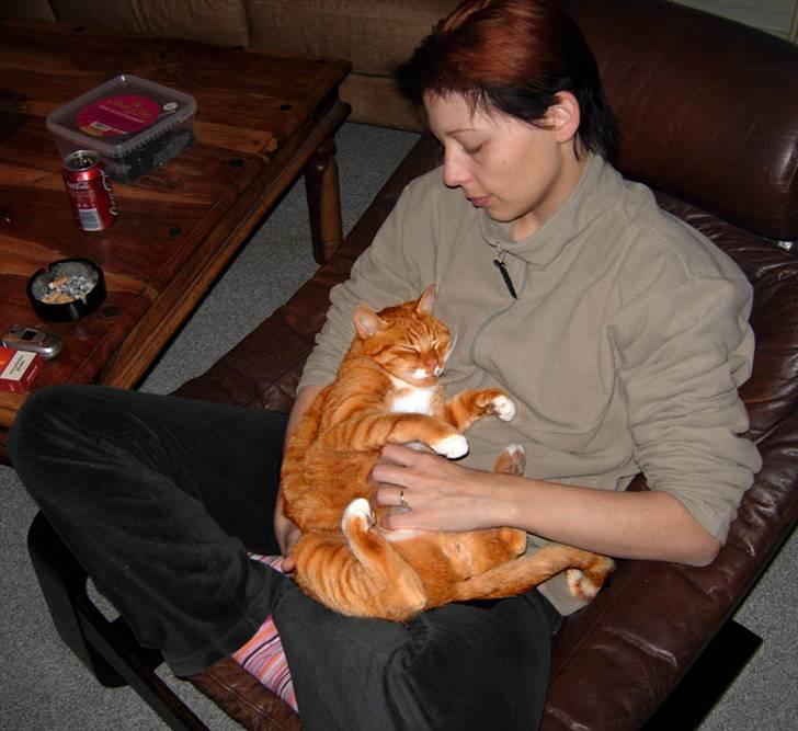 Huskat Sofus † 12/6-08 † billede 2