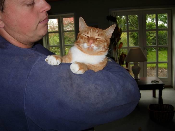 Huskat Sofus † 12/6-08 † - Sofus og far  <3 billede 16