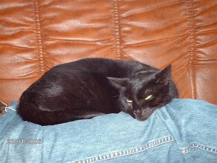 Huskat tot billede 2