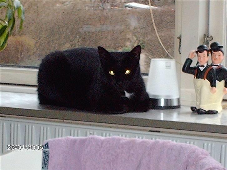 Huskat tot billede 3