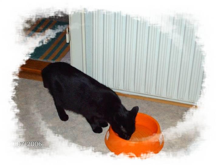 Huskat tot billede 4