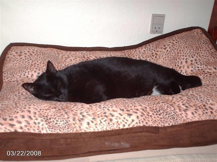 Huskat tot billede 7