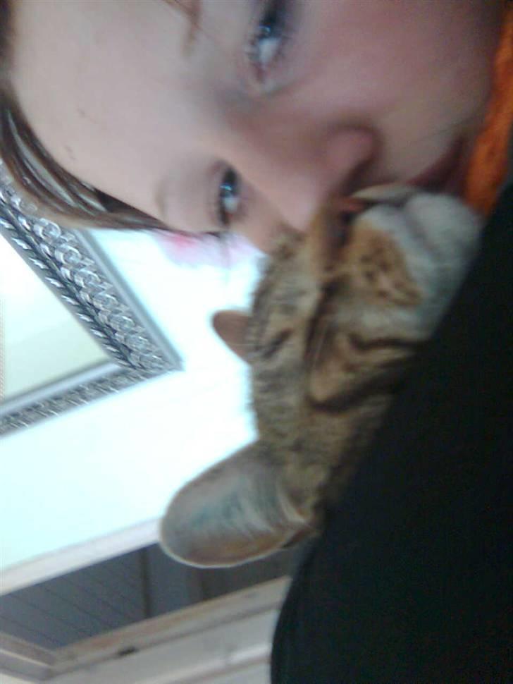 Huskat V I C T O R <3 billede 15