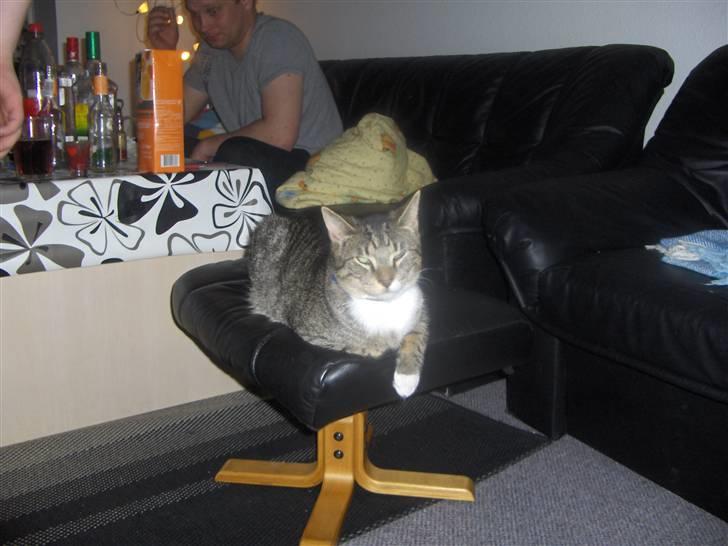 Huskat Psyko billede 7