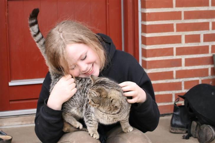 Huskat Fede Finn billede 8