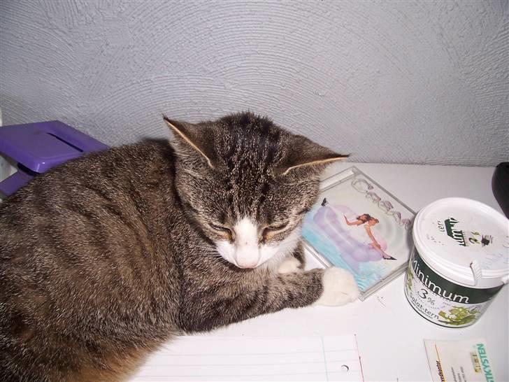 Huskat Miss ismiss - ismiss`s mormor billede 4