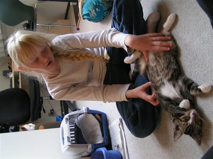 Huskat Lut - #10 billede 10