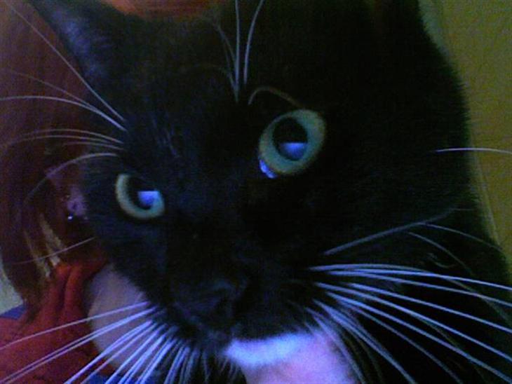 {{currentPhoto.altText}} billede {{currentPhoto.number}}