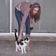 Huskat Kitty Myre