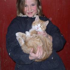 Huskat Skøttesmindes Mikkel