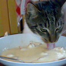 Blanding af racer Thorkild