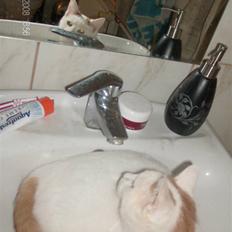 Blanding af racer silke