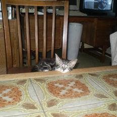 Huskat ingen i nu SOLGT