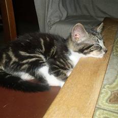 Huskat ingen i nu SOLGT