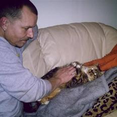 Blanding af racer Bonni