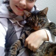 Blanding af racer Nemo