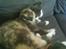 Huskat sanvet rip Mette :( - elsker sin datter 