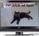 Huskat Mussen  R.I.P