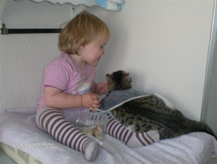 Blanding af racer Blacki - se mig --har krave på ..så godt man får lidt trøst  billede 6