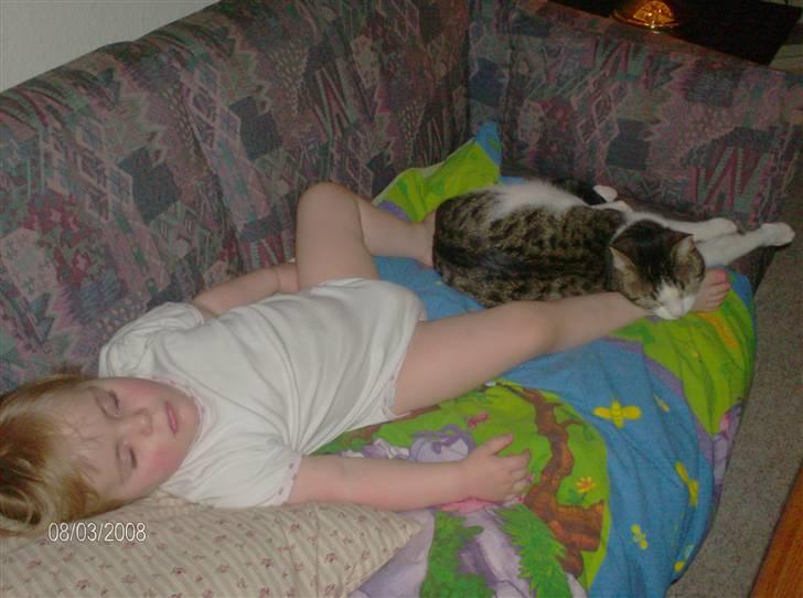 Blanding af racer Blacki - rart med en lille lur  billede 9