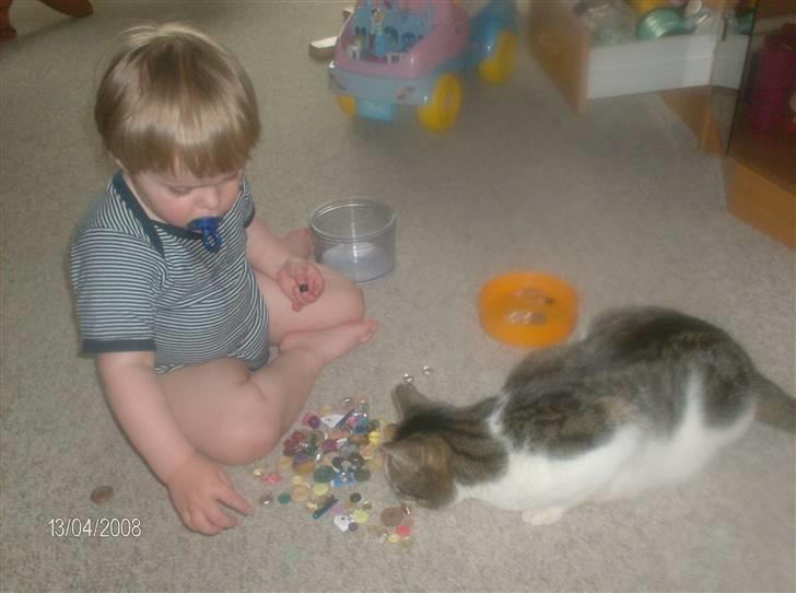 Blanding af racer Blacki - hmmm --tror lige jeg hugger de der knapper "GG" hun ser det nok ikke .mjau mau  billede 10